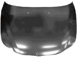 VAN WEZEL 0655660 -  Капот двигателя